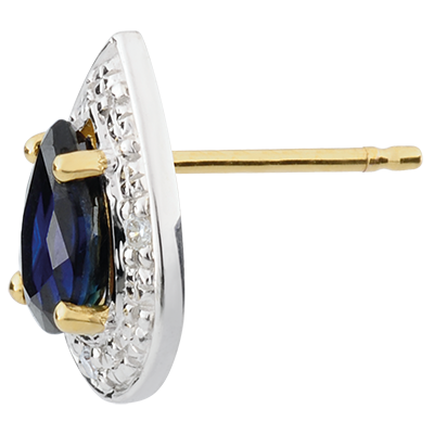 Eternal Edelweiss No. 1