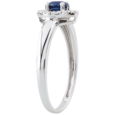 Eternel Edelweiss nº 2