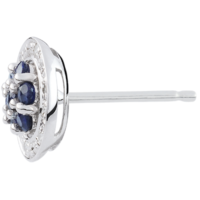 Eternel Edelweiss nº 3