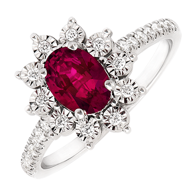 Eternel Edelweiss nº 4