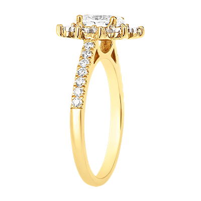 Eternel Edelweiss nº 4