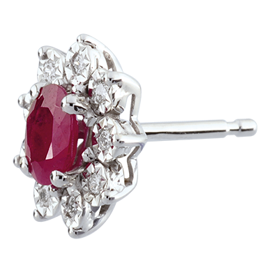 Eternel Edelweiss nº 4