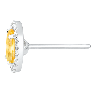 Eternel Edelweiss Nº6