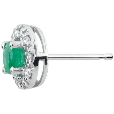 Eternel Edelweiss Nr. 5