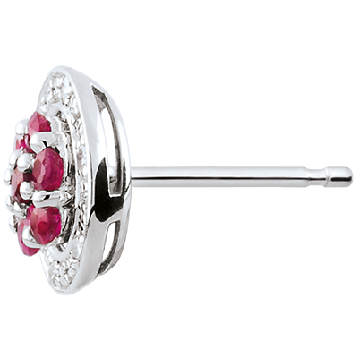 Eterno Edelweiss n. 3