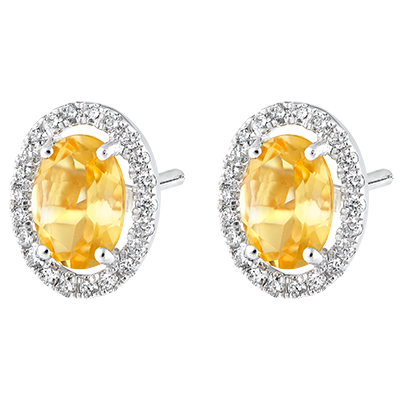 Eterno Edelweiss n. 6