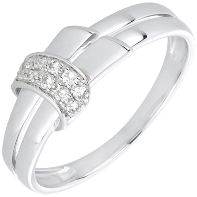 Féérie nº 45 Féérie nº 45