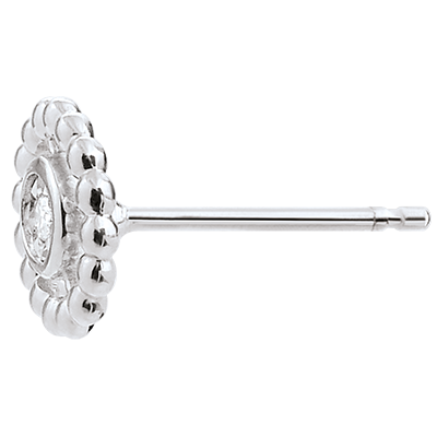 Floare de Sare nr. 1