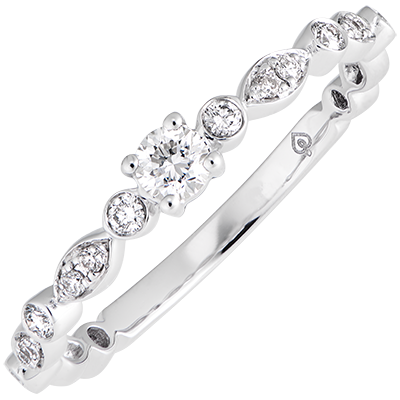 Fraicheur nº 33 Fraicheur nº 33