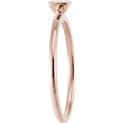 Fraicheur Nº78