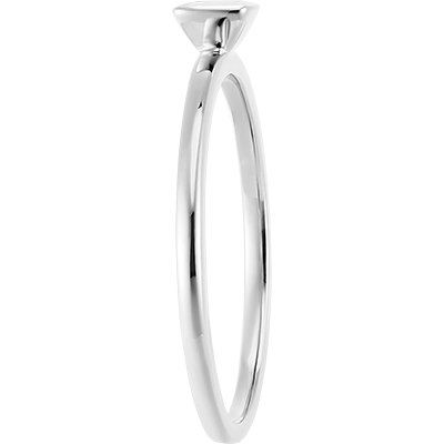 Fraicheur Nº78