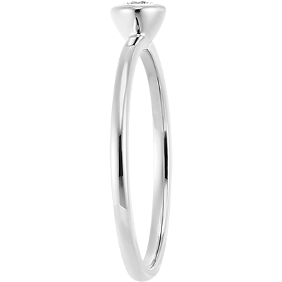 Fraicheur Nº81