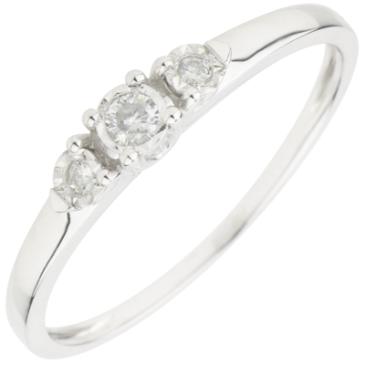 Freschezza n. 11 Freschezza n. 11