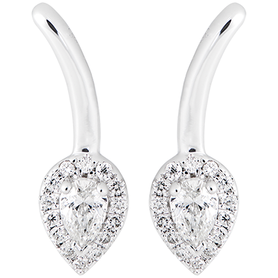 Frescura n.º 38 Frescura n.º 38