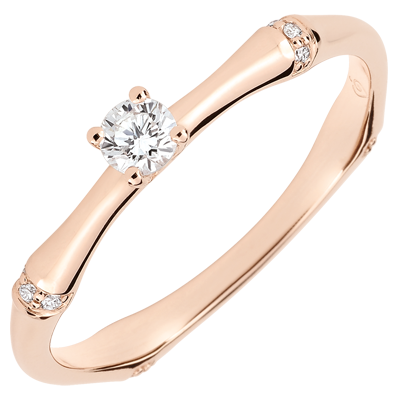 Giungla Sacra n. 3 Giungla Sacra n. 3