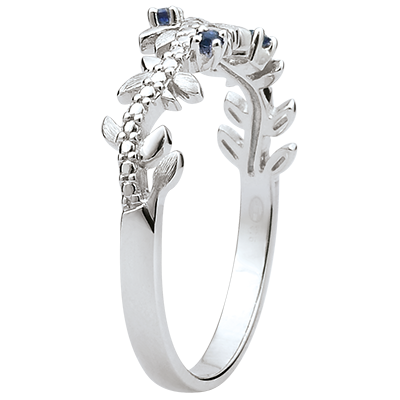 Grădină Fermecată nr. 11