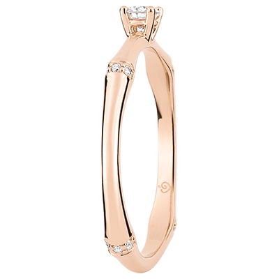 Heiliger Urwald Nr. 3