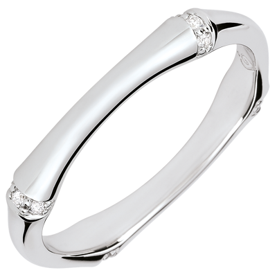 Heiliger Urwald Nr. 6