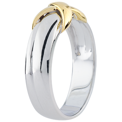Infinity Nº25
