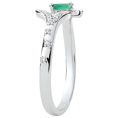 Jardin Enchanté Nº16