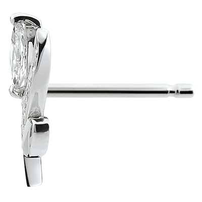 Jardin Enchanté No. 8