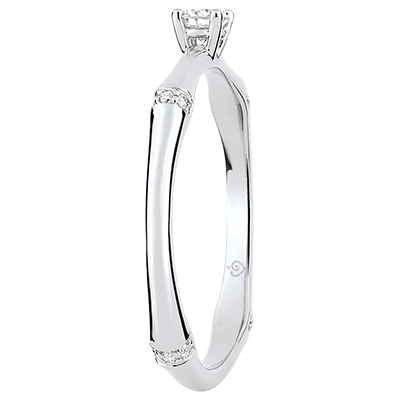 Jungla Sagrada n.º 3