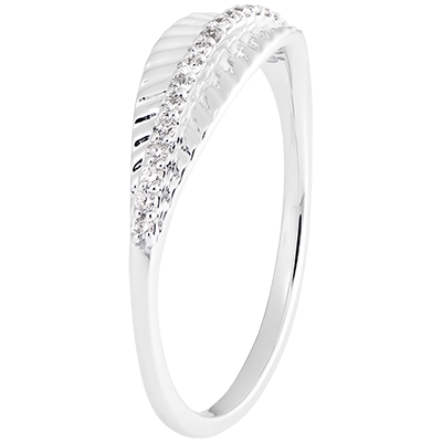 Jungla Sagrada n.º 8