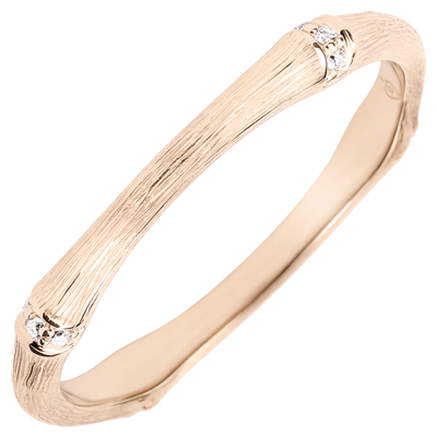 Jungle Sacrée nº 4