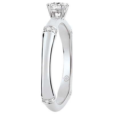 Jungle Sacrée nº 5