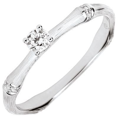 Jungle Sacrée No. 3