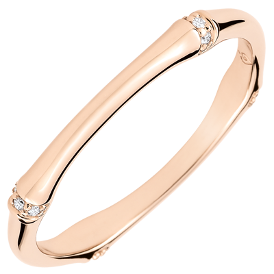 Jungle Sacrée No. 4