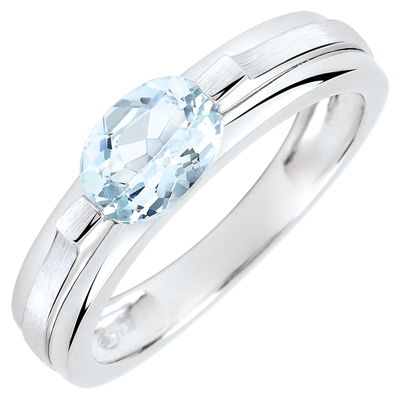 Konstelacja nr 13 Konstelacja nr 13