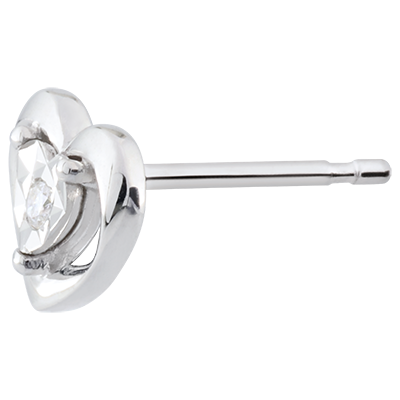 Kostbaar Geheim nr. 8