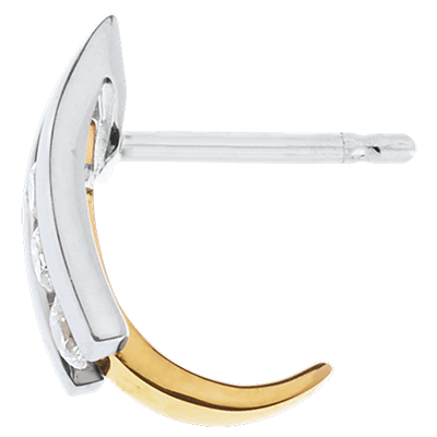 Kostbarer Kokon Nr. 13