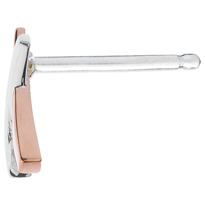 Kostbarer Kokon Nr. 17