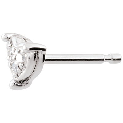 Kostbares Geheimnis Nr. 2