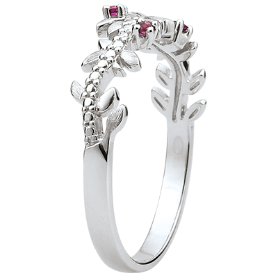 Magische Tuin nr. 11