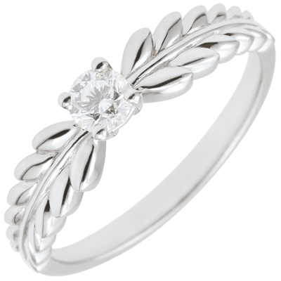 Magische Tuin nr. 9 Magische Tuin nr. 9