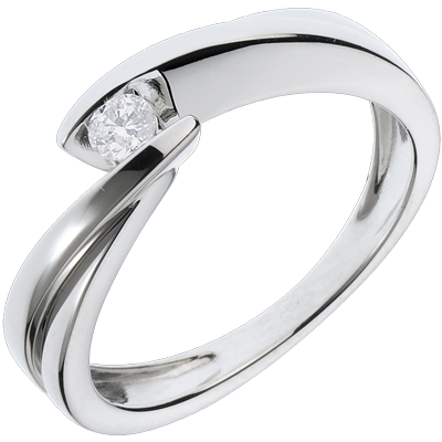 Nid Précieux nº 12 Nid Précieux nº 12