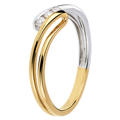 Nid Précieux nº 25