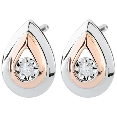 Nid Précieux No. 15 Nid Précieux No. 15