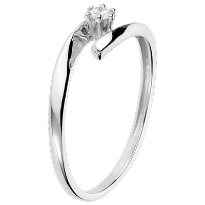 Nid Précieux No. 29