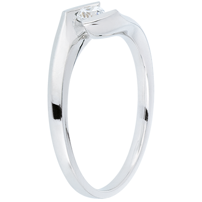 Nid Précieux No. 77