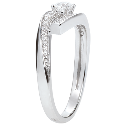 Nid Précieux No. 93