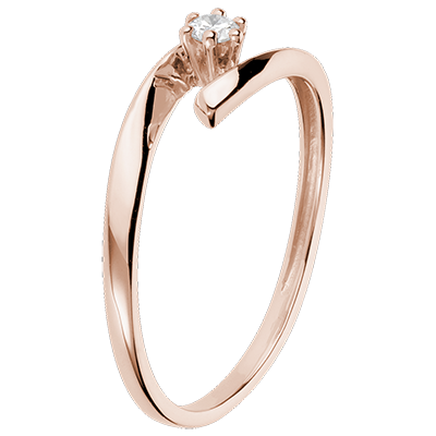 Nido Precioso n.º 29