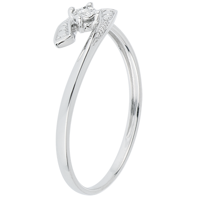 Nido Precioso n.º 72