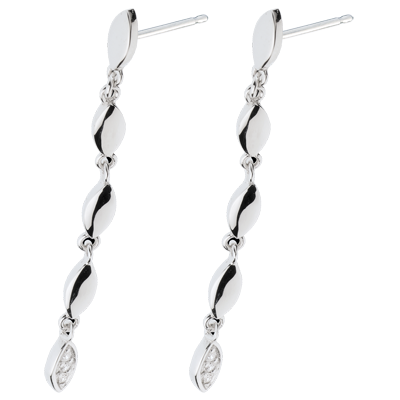 Obfitość nr 12 Obfitość nr 12