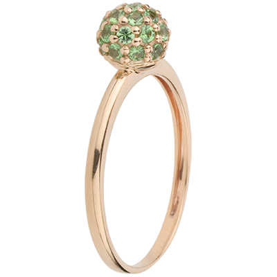 Oiseau de Paradis nº 1