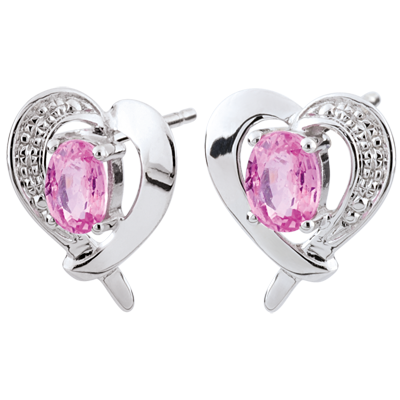 Oiseau de Paradis nº 12