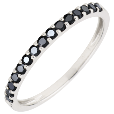 Oiseau de Paradis nº 2